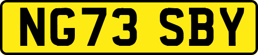 NG73SBY