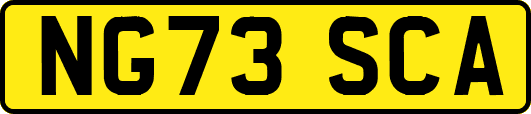 NG73SCA