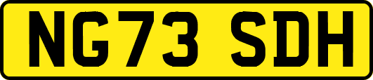 NG73SDH