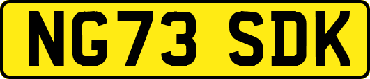 NG73SDK