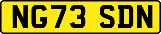 NG73SDN