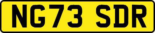 NG73SDR