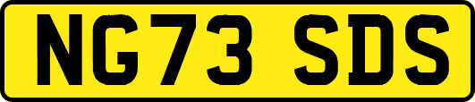 NG73SDS