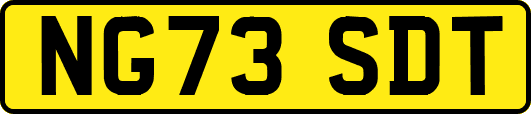 NG73SDT