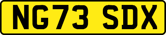 NG73SDX