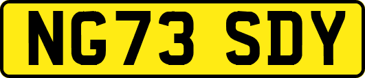NG73SDY