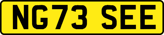 NG73SEE