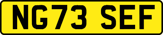 NG73SEF