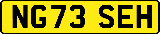 NG73SEH