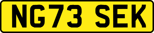 NG73SEK