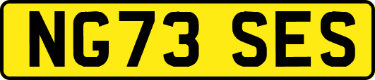 NG73SES