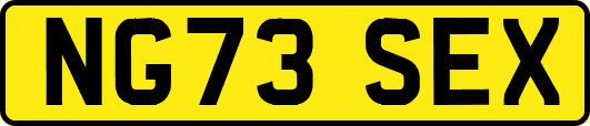 NG73SEX