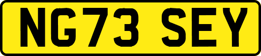 NG73SEY