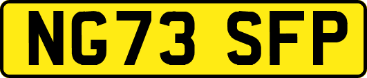 NG73SFP