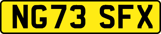 NG73SFX