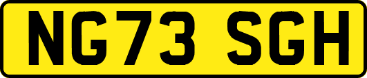 NG73SGH