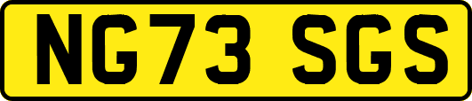NG73SGS