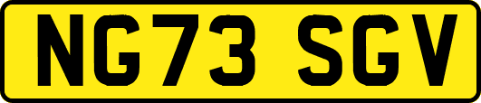 NG73SGV