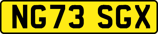 NG73SGX