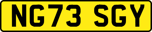 NG73SGY
