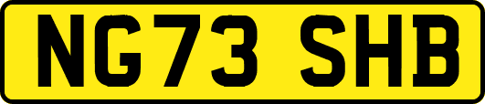NG73SHB