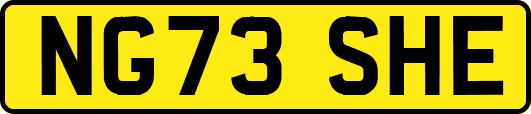 NG73SHE