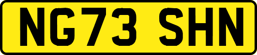 NG73SHN