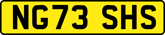 NG73SHS
