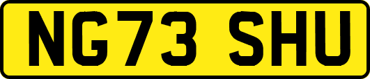NG73SHU