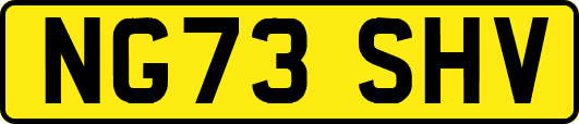 NG73SHV