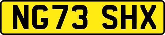 NG73SHX