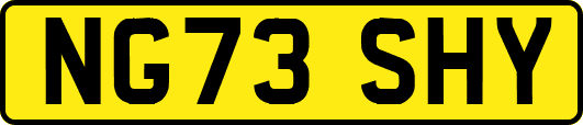 NG73SHY