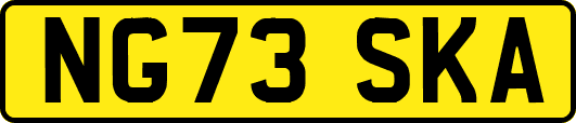 NG73SKA