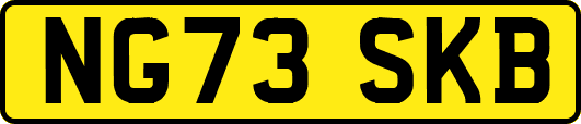 NG73SKB