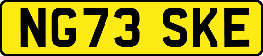 NG73SKE