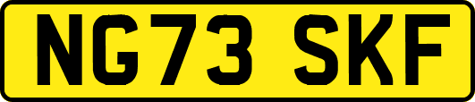 NG73SKF