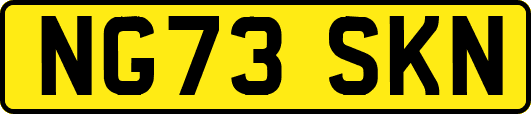 NG73SKN