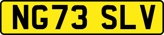NG73SLV