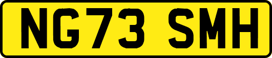 NG73SMH