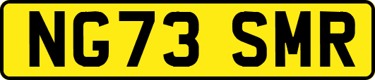 NG73SMR
