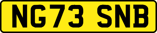 NG73SNB
