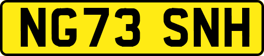 NG73SNH