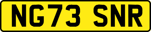 NG73SNR