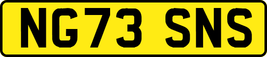 NG73SNS