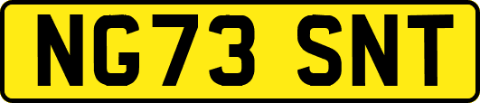 NG73SNT