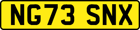 NG73SNX