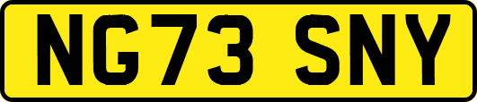 NG73SNY