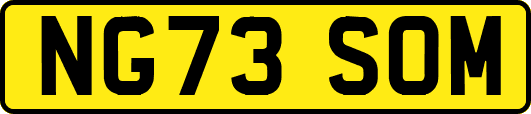 NG73SOM