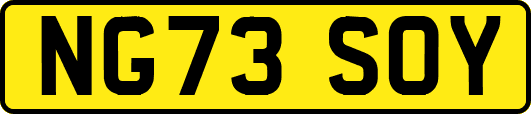 NG73SOY