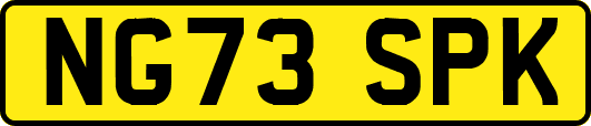 NG73SPK